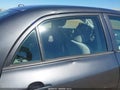2009 Toyota Corolla — photo 6 of 12 | VIN 1NXBU40E09Z123217