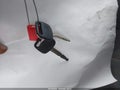 2004 Toyota Corolla — photo 11 of 12 | VIN 2T1BR32E14C305446