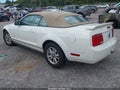 2006 Ford Mustang — photo 3 of 16 | VIN 1ZVFT84N665127110