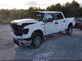 2011 Ford F-150 — photo 2 of 16 | VIN 1FTFW1ET8BFC17748