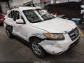 2007 Hyundai Santa Fe — photo 1 of 15 | VIN 5NMSH13E97H068838