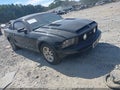 2005 Ford Mustang — photo 1 of 11 | VIN 1ZVFT80N455145299