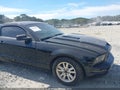2005 Ford Mustang — photo 6 of 11 | VIN 1ZVFT80N455145299
