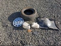 1998 Toyota Camry — photo 12 of 21 | VIN JT2BG22K0W0240620