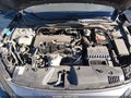 2019 Honda Civic — photo 10 of 16 | VIN 2HGFC2F88KH500885