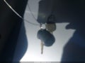 2006 Toyota Sienna — photo 11 of 11 | VIN 5TDZA23C36S469904