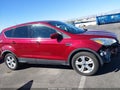 2016 Ford Escape — photo 13 of 15 | VIN 1FMCU0GX2GUA94045