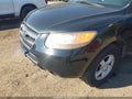 2007 Hyundai Santa Fe — photo 6 of 11 | VIN KM8SG13D67U115452