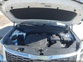 2020 Kia Telluride — photo 10 of 17 | VIN 5XYP5DHC7LG007855