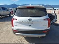 2020 Kia Telluride — photo 17 of 17 | VIN 5XYP5DHC7LG007855