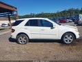 2010 Mercedes-Benz ML-Class — photo 13 of 16 | VIN 4JGBB8GB2AA601202