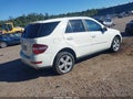 2010 Mercedes-Benz ML-Class — photo 4 of 16 | VIN 4JGBB8GB2AA601202