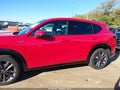 2026 Acura ADX — photo 14 of 17 | VIN 3HDSA1H50TM708504