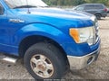 2011 Ford F-150 — photo 17 of 18 | VIN 1FTFW1EF1BFC57244