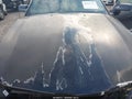 2007 Ford Mustang — photo 10 of 11 | VIN 1ZVFT80N175312494