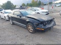 2007 Ford Mustang — photo 1 of 11 | VIN 1ZVFT80N175312494