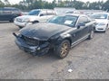 2007 Ford Mustang — photo 2 of 11 | VIN 1ZVFT80N175312494