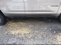 2025 Chevrolet Tahoe — photo 20 of 20 | VIN 1GNS6PRD1SR335103