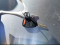 2007 Dodge Ram 1500 — photo 11 of 16 | VIN 1D7HA182X7J504125