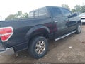 2013 Ford F-150 — photo 4 of 16 | VIN 1FTFW1ET7DFC56172