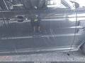 2016 Land Rover Range Rover Sport — photo 19 of 21 | VIN SALWZ2EF8GA583424