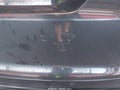 2016 Land Rover Range Rover Sport — photo 21 of 21 | VIN SALWZ2EF8GA583424