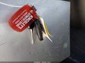 2013 Toyota Tundra — photo 11 of 17 | VIN 5TFDY5F1XDX322276