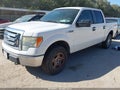 2010 Ford F-150 — photo 2 of 16 | VIN 1FTFW1EV5AFC30053