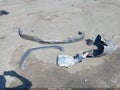 2001 Chevrolet Silverado 2500 — photo 11 of 20 | VIN 1GCHK231X1F128824