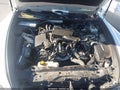 2014 Lexus LS 460 — photo 10 of 16 | VIN JTHCL5EF2E5022217
