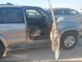 2002 Toyota 4Runner — photo 5 of 16 | VIN JT3HN87R929062443