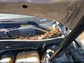 2012 Buick Regal — photo 15 of 16 | VIN 2G4GT5GV5C9130687