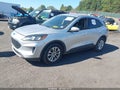 2020 Ford Escape — photo 2 of 20 | VIN 1FMCU0G60LUA38056