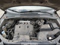 2009 Kia Sportage — photo 10 of 11 | VIN KNDJF723997612298