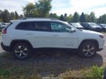 2019 Jeep Cherokee — photo 14 of 18 | VIN 1C4PJMDN9KD150919