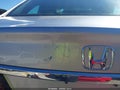 2014 Honda Civic — photo 21 of 21 | VIN 2HGFB2F54EH517146