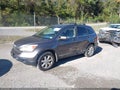 2009 Honda CR-V — photo 2 of 16 | VIN 5J6RE48769L020003