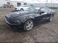 2013 Ford Mustang — photo 2 of 16 | VIN 1ZVBP8AM2D5200534