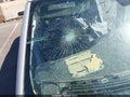 2022 Dodge Charger — photo 16 of 17 | VIN 2C3CDXCT7NH193108