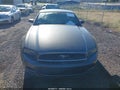 2014 Ford Mustang — photo 12 of 16 | VIN 1ZVBP8AM0E5282779