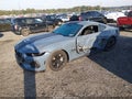 2024 Ford Mustang — photo 2 of 17 | VIN 1FA6P8CF7R5435981