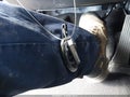 2026 Hyundai Santa Fe Hybrid — photo 11 of 16 | VIN 5NMP5DG14TH126954
