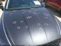2020 Hyundai Sonata — photo 17 of 18 | VIN 5NPEF4JA8LH058075