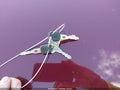 2000 Buick Century — photo 11 of 11 | VIN 2G4WY55J4Y1232792