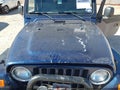 2004 Jeep Wrangler — photo 10 of 14 | VIN 1J4FA69S64P737421