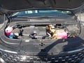 2025 Kia Carnival — photo 10 of 16 | VIN KNDNE5KAXS6077694