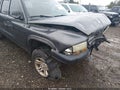 2003 Dodge Dakota — photo 18 of 18 | VIN 1D7HG38NX3S178271