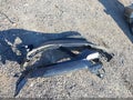 2018 Honda Pilot — photo 12 of 17 | VIN 5FNYF6H59JB018357