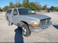1999 Dodge Dakota — photo 1 of 14 | VIN 1B7GG26X5XS312971