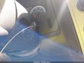 2010 Ford Escape — photo 11 of 11 | VIN 1FMCU0DGXAKD06097